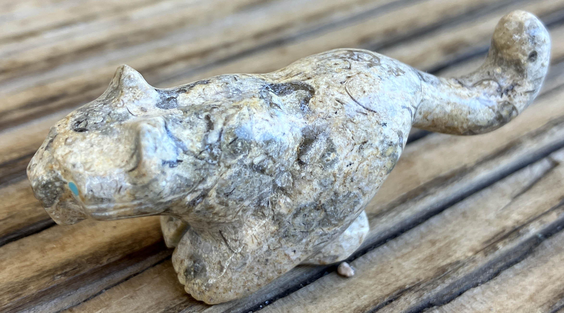 Woody Mackel | Mountain Lion Fetish | Zuni Pueblo | Penfield Gallery of Indian Arts | Albuquerque, New Mexico